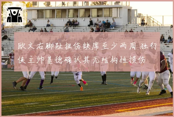 欧文右脚趾扭伤缺席至少两周 独行侠主帅基德确认其无结构性损伤