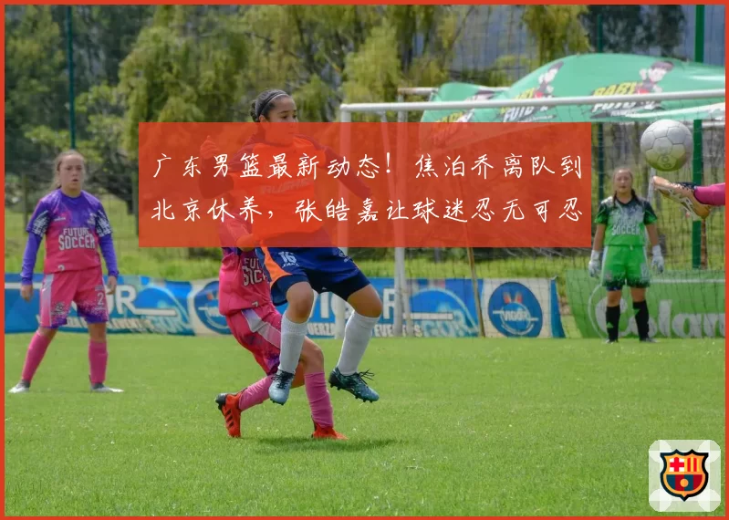 广东男篮最新动态！焦泊乔离队到北京休养，张皓嘉让球迷忍无可忍，徐杰伤病情况出炉