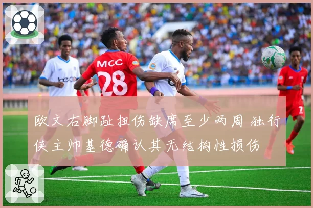 欧文右脚趾扭伤缺席至少两周 独行侠主帅基德确认其无结构性损伤